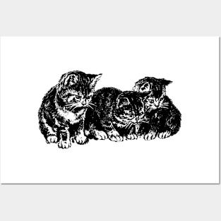 kittens Posters and Art